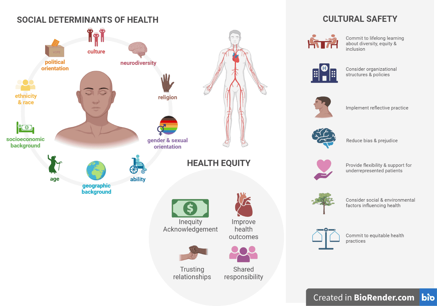 The-Biofilm-Life-Cycle